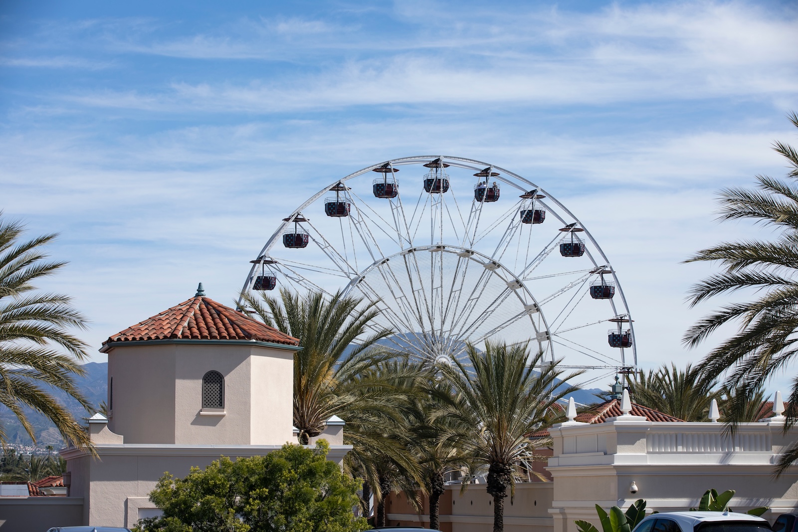 Daytime palm framed view of the Orange County downtown skyline of Irvine, one of the best things to do in Orange County